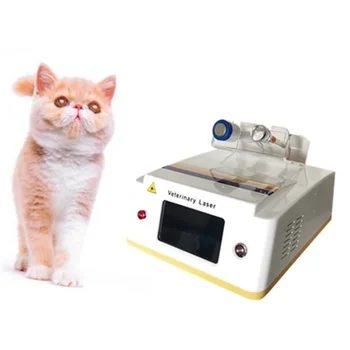 Ветеринарное лазерное оборудование класса Iv Ветеринарный лазер Ветеринарная лазерная терапия горячей боли Класс 4