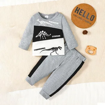 Одежда для мальчика на 3-18 месяцев из 2 предметов, толстовка с длинными рукавами и эластичными штанами с принтом окаменелостей динозавров для малышей, осенняя одежда